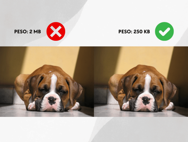 Comparación de una fotografía de cachorrito en formato png al formato webp sin perdida de calidad