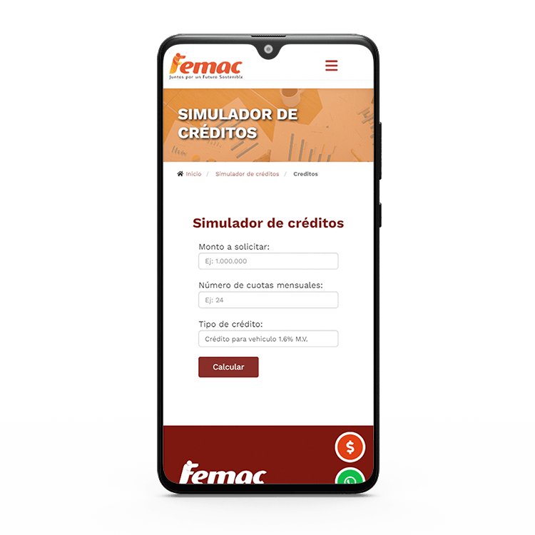 Teléfono móvil que muestra la página web realizada para Femac